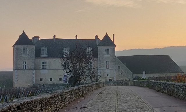 Burgundy En Primeur 2024