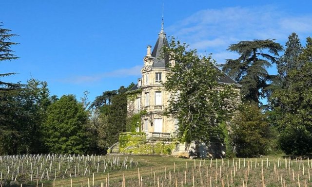 Bordeaux En Primeur 2024