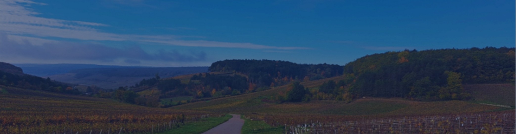 EN PRIMEUR CAMPAIGNS