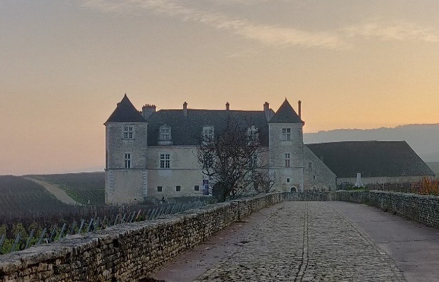 Burgundy En Primeur 2024