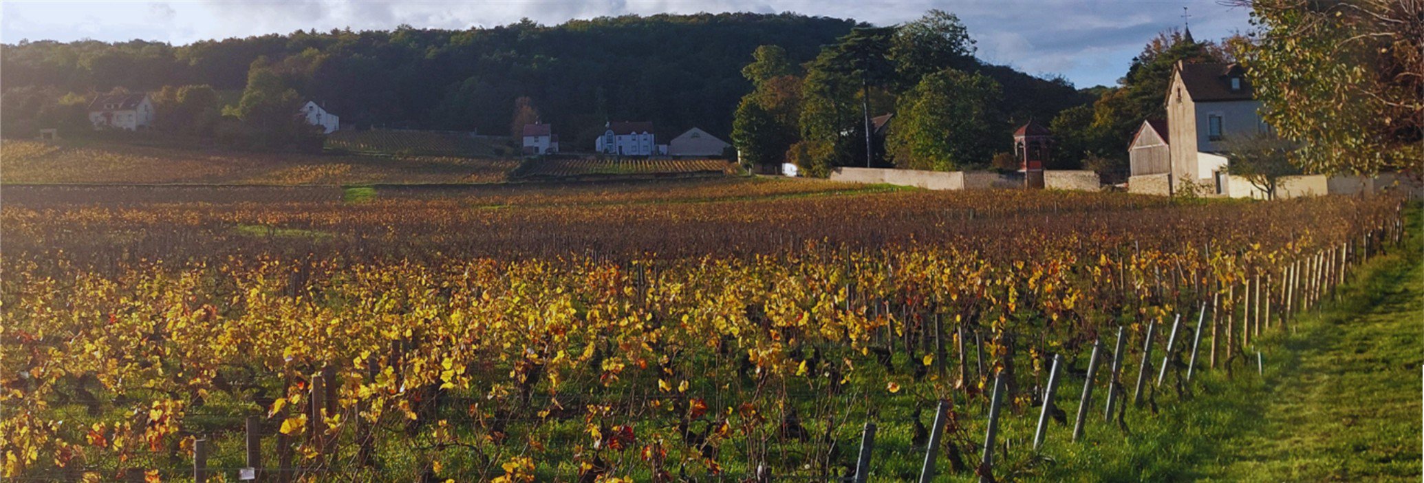 FARTHINGHOE FINE WINE