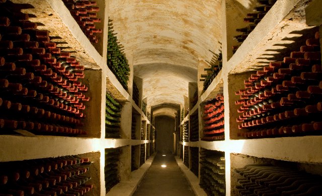 Collecting & Cellar Plans