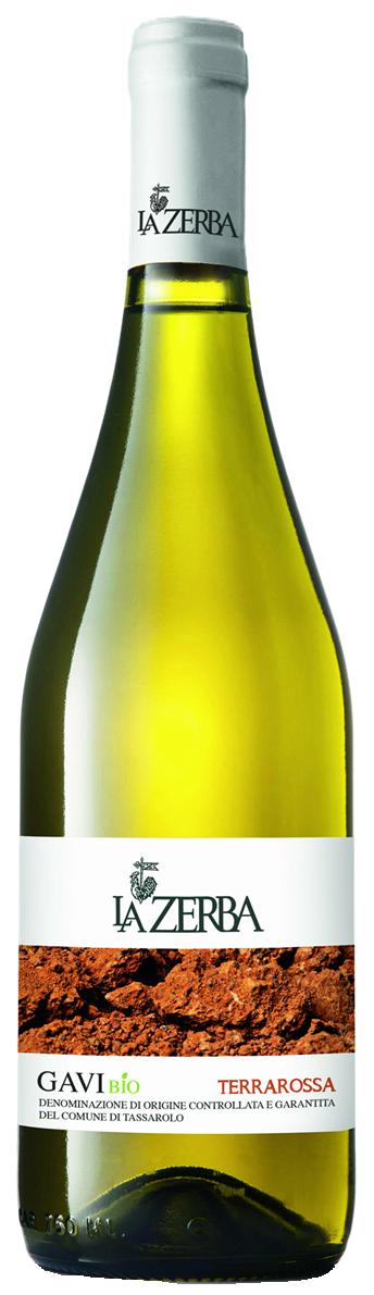 Zerba, Gavi, Terrarossa Comune Tassarolo 2025