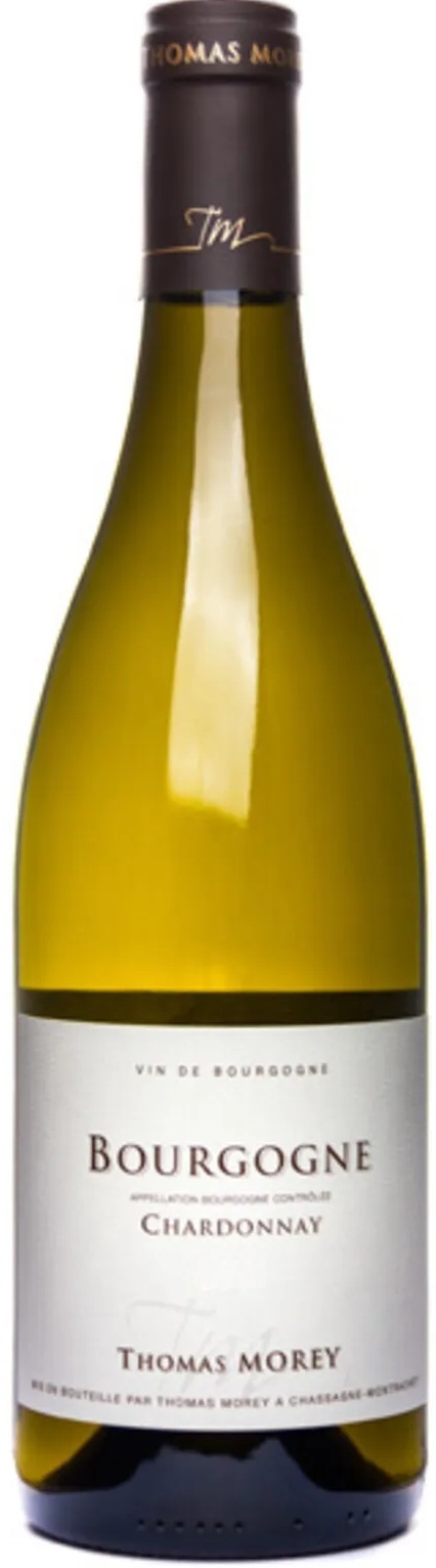 Thomas Morey, Bourgogne, Blanc 2024