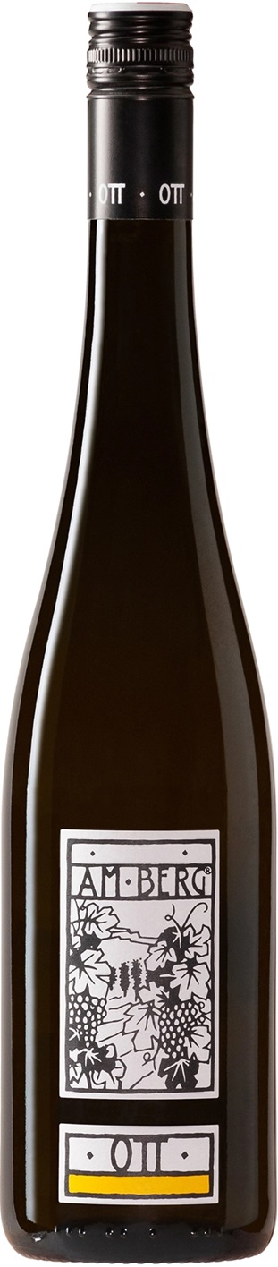 Ott, Am Berg Gruner Veltliner Erste Lage, Wagram 2024