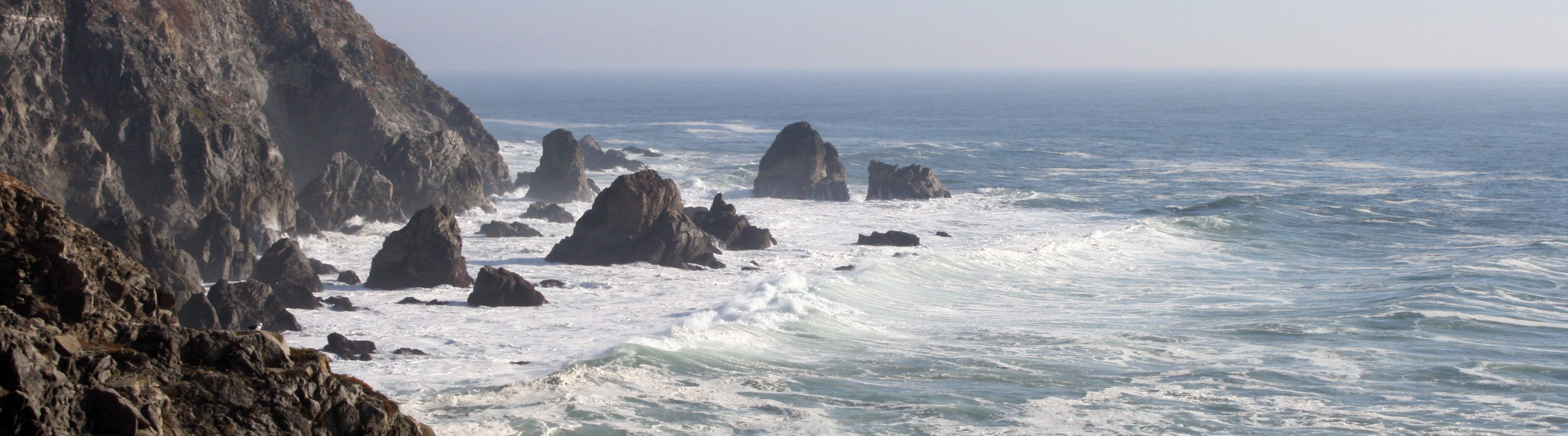 Sonoma Coast
